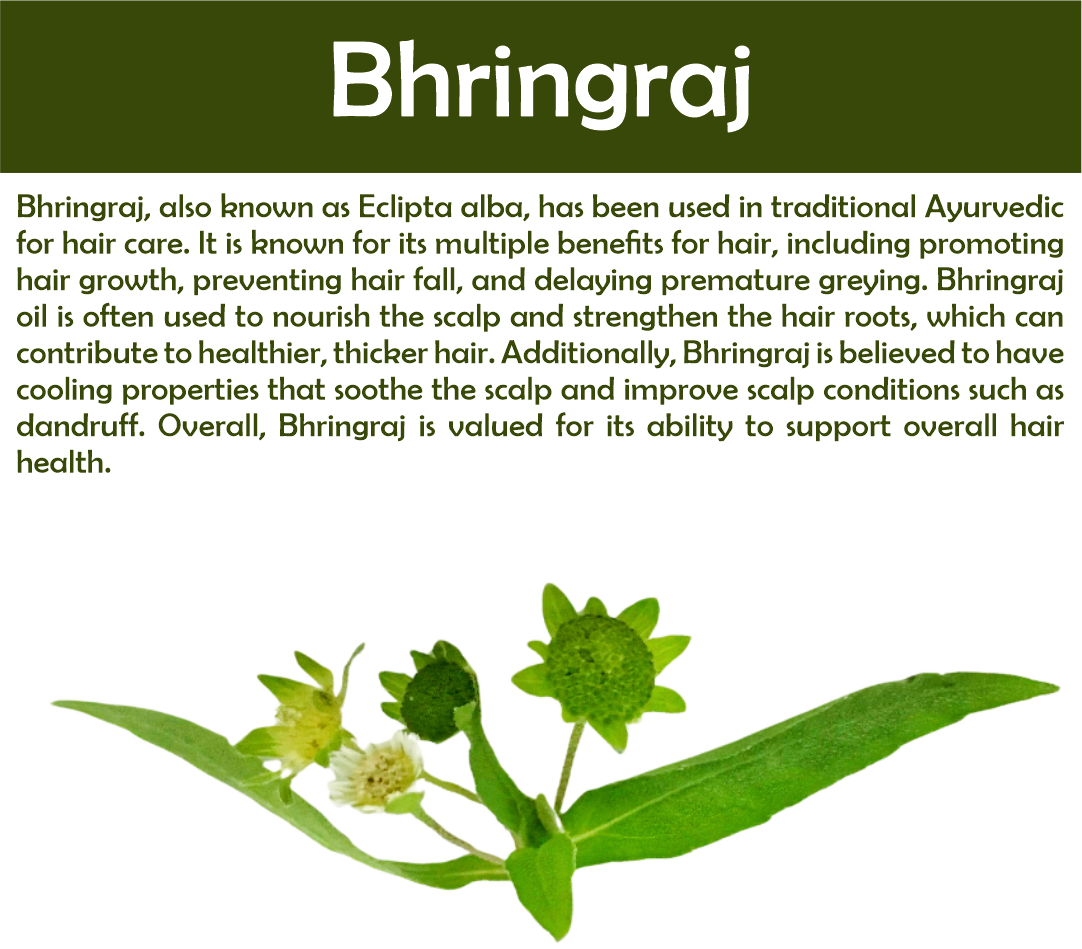 Natural Bhringraj Powder For Haircare