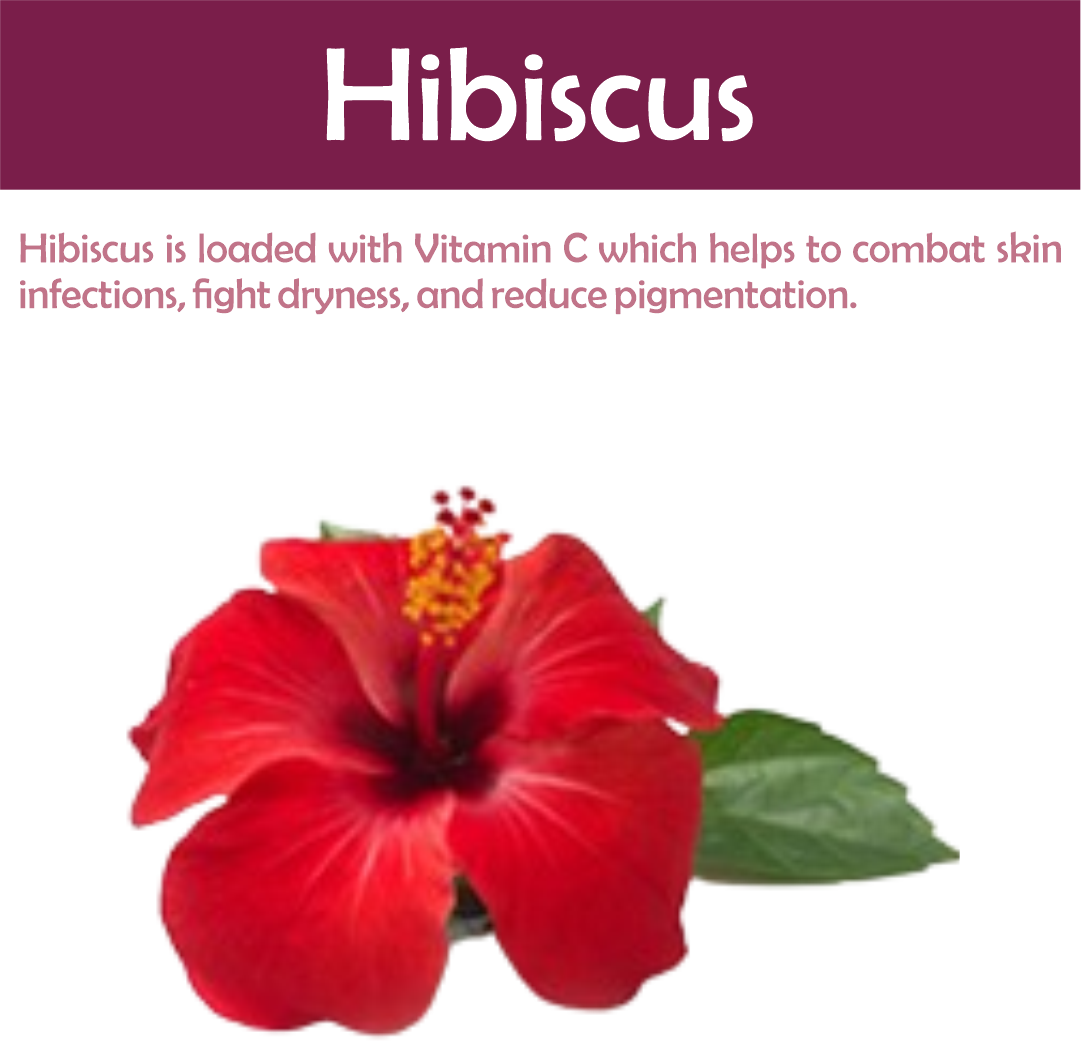 Natural Hibiscus Powder For Silky Hair