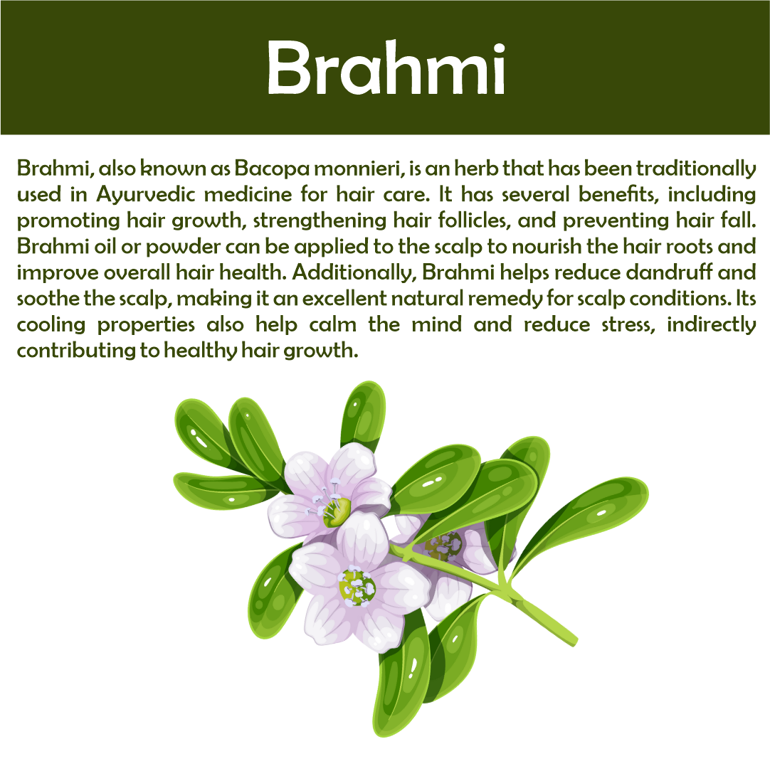 Natural Brahmi Powder for Haircare